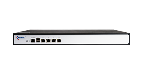 SD-WAN Gateway VSM2000