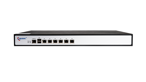 SD-WAN Gateway VSM3000